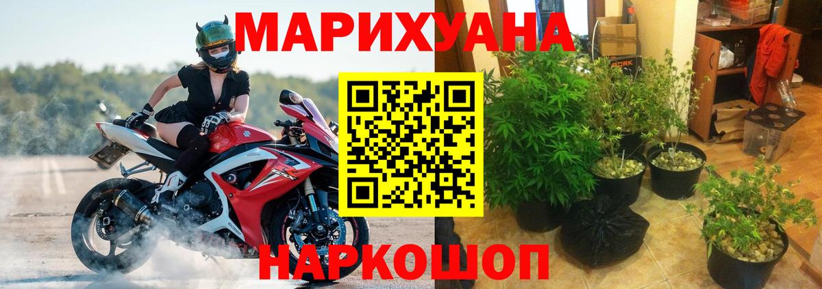 Канабис планчик Большой Камень